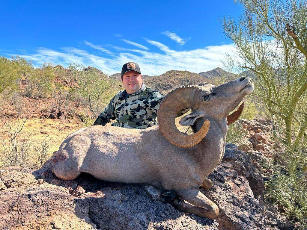 Desert Bighorn Sheep hunt photo 2