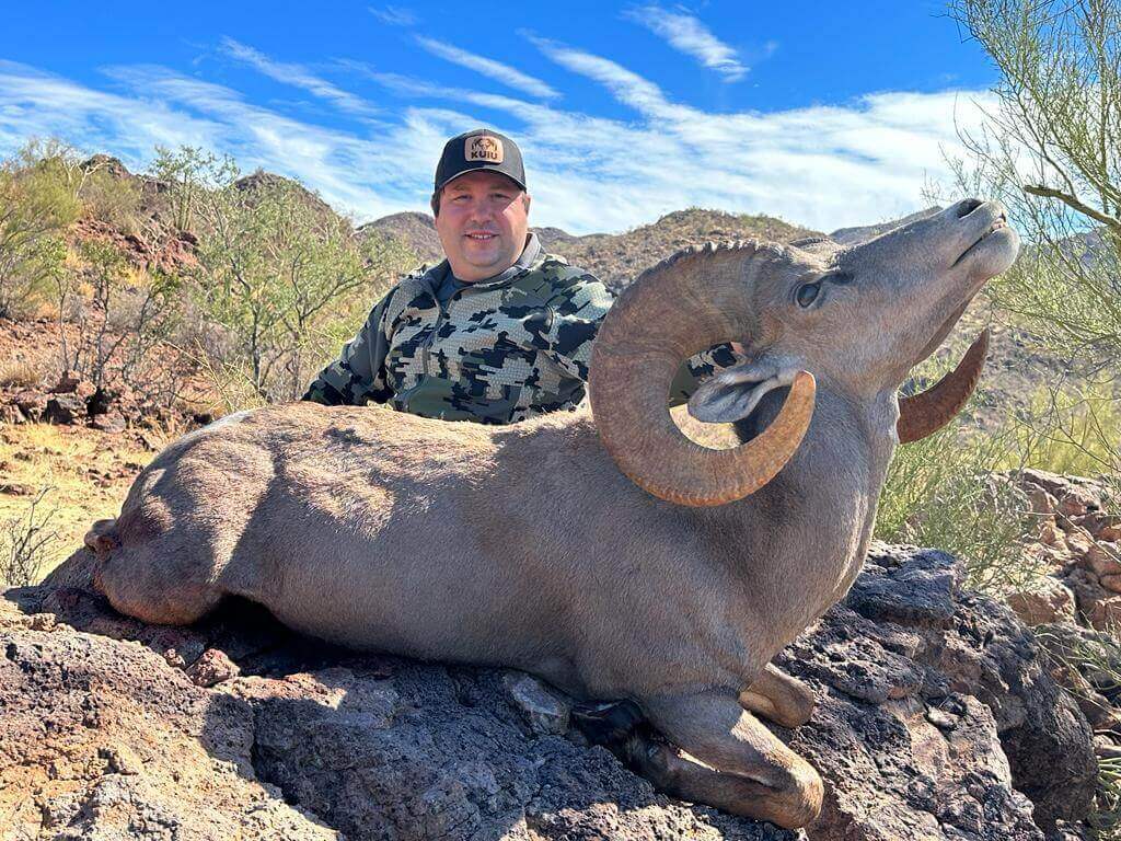 Desert Bighorn Sheep hunt photo 6