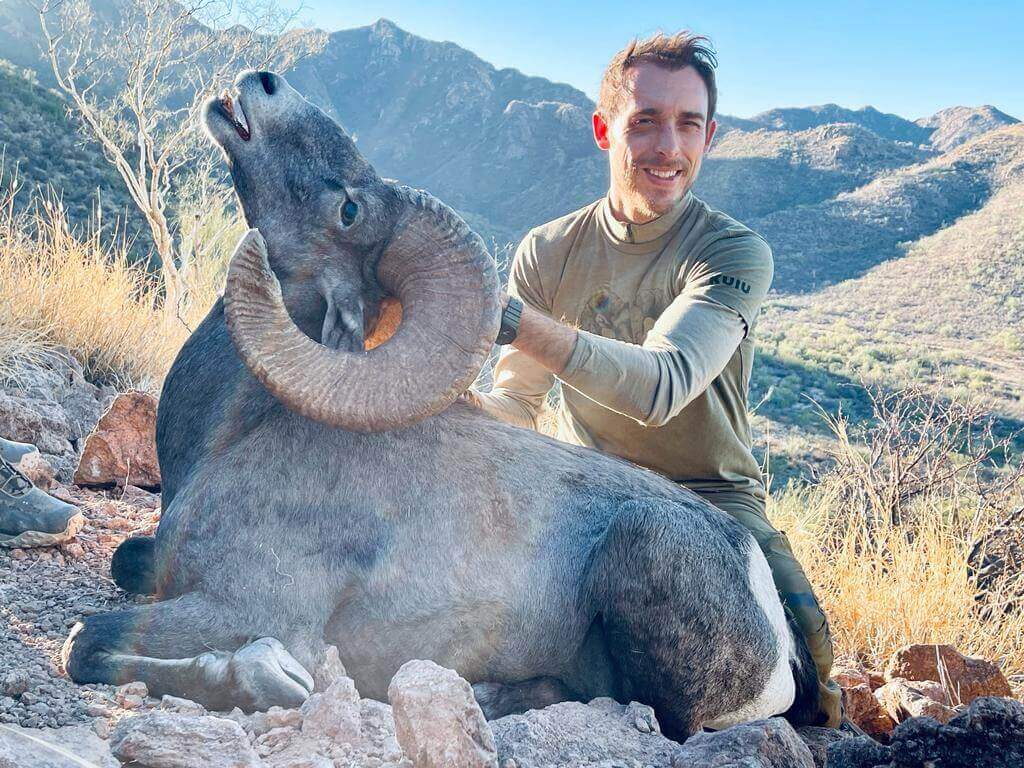 Desert Bighorn Sheep hunt photo 7