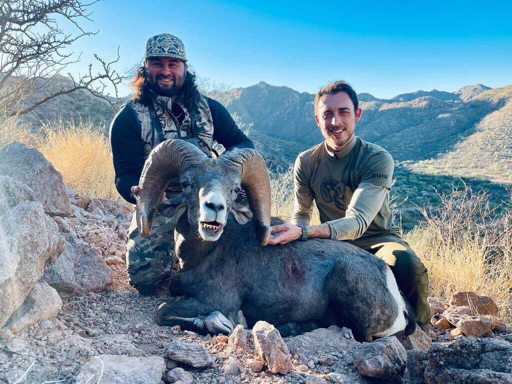 Desert Bighorn Sheep hunt photo 8