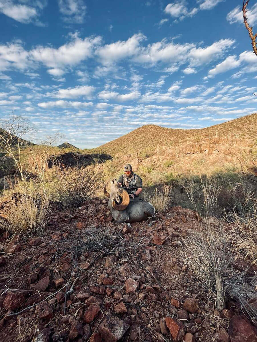 Desert Bighorn Sheep hunt photo 12