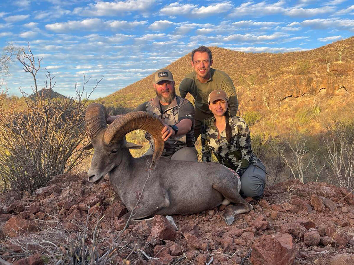 Desert Bighorn Sheep hunt photo 14
